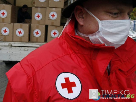 Какой праздник сегодня отмечают в мире и России 08.05.2015: о чем люди хотят помнить