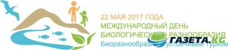 Какой сегодня день: 22 мая – Международный день биологического разнообразия