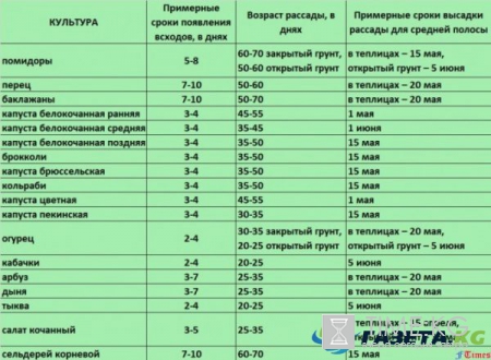 Когда сажать помидоры, перец и огурцы в теплицу в Подмосковье в 2017 году: советы садоводам и огородникам