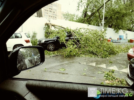 Крыши нет, но вы держитесь: в Сети публикуют фото и видео урагана в Москве