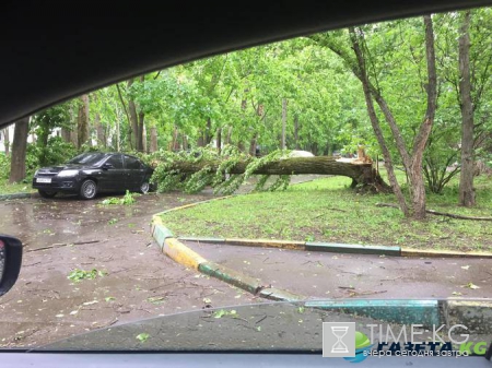 Крыши нет, но вы держитесь: в Сети публикуют фото и видео урагана в Москве