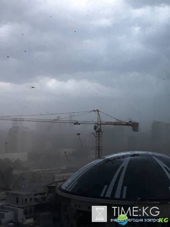 Крыши нет, но вы держитесь: в Сети публикуют фото и видео урагана в Москве