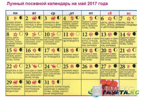 Лунный календарь посадок на май 2017 года: для садовода и огородника