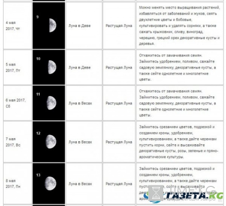 Лунный календарь посадок на май 2017 года: для садовода и огородника