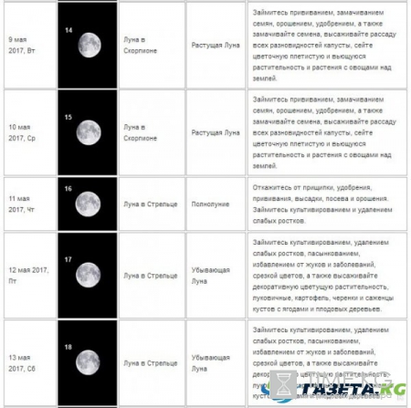 Лунный календарь посадок на май 2017 года: для садовода и огородника