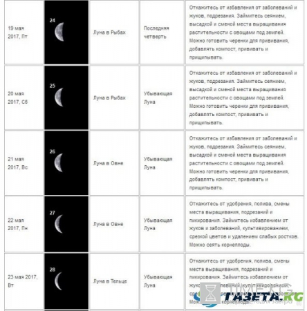 Лунный календарь посадок на май 2017 года: для садовода и огородника