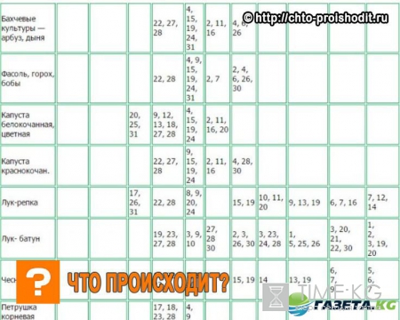 Лунный посевной календарь на 2017 год садовода и огородника на май: календарь работ