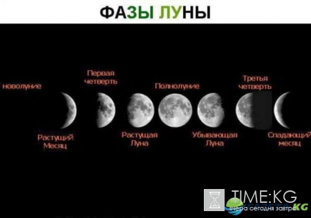 Лунный посевной календарь на июнь 2017 для садоводов и огородников