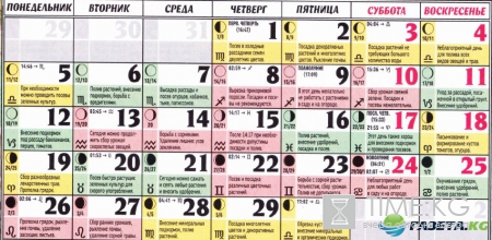 Лунный посевной календарь на июнь 2017 для садоводов и огородников