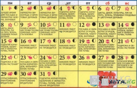 Лунный посевной календарь на май 2017 года, благоприятные дни: Лучшие дни для посадки овощей, цветов и трав