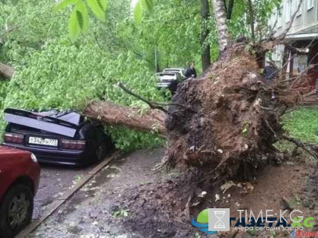 МЧС списки погибших при урагане сегодня: как все происходило, есть ли жертвы и разрушения?
