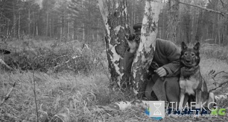 Мемориал поиск участников ВОВ: поиск по фамилии и по наградам, места захоронения бывших в плену, погибших, пропавших без вести, вернувшихся