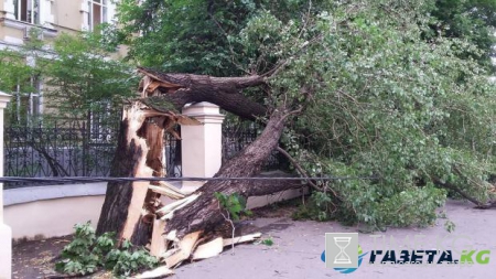 Метеорологи: Ураган может повториться