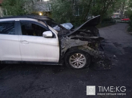 На Будапештской улице тушили сразу два автомобиля