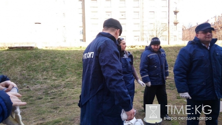 На Петроградской стороне люди в спецодежде закрасили портрет Виктора Цоя