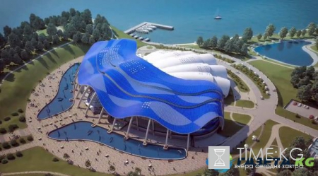 Осьминог-гигант сбежал из океанариума в Приморском крае