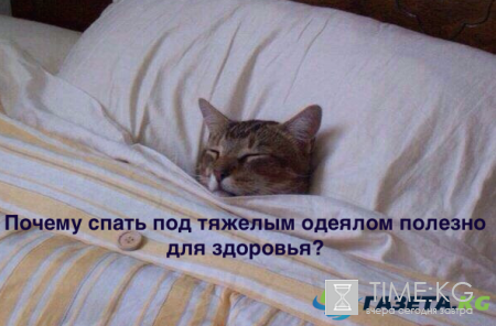 Почему так: 5 простых ответов на простые вопросы