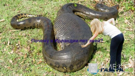 Почему так: 5 простых ответов на простые вопросы