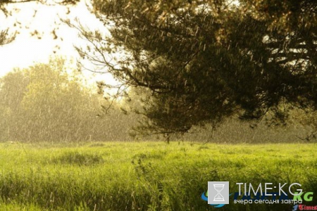 Погода в Москве и Подмосковье на выходные дни 20-21 мая 2017: теплая погода с температурой свыше плюс 20 градусов придет в Москву