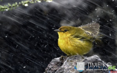 Погода в Москве и Подмосковье на выходные дни 20-21 мая 2017: теплая погода с температурой свыше плюс 20 градусов придет в Москву
