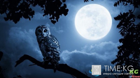 Полнолуние в июне 2017:Лунный цикл на месяц в июне 2017 года включает в себя только один день Полнолуния