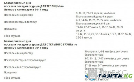 Посадка огурцов семенами на рассаду и в открытый грунт: лучшие дни на май-июнь 2017 по лунному календарю