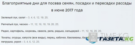 Посадка огурцов семенами на рассаду и в открытый грунт: лучшие дни на май-июнь 2017 по лунному календарю