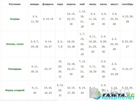 Посевной календарь на июль 2017 года