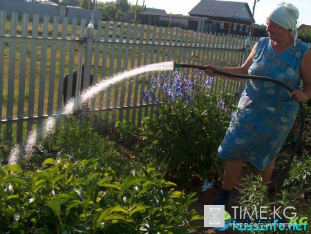 Посевной календарь на июль 2017 года