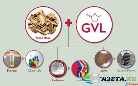 Растворитель GVL в 3 раза увеличивает уровень доходности переработки древесины