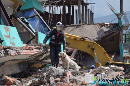 реорганизация МЧС России в 2018 году