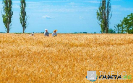 Составлен рейтинг стран с самой богатой природой
