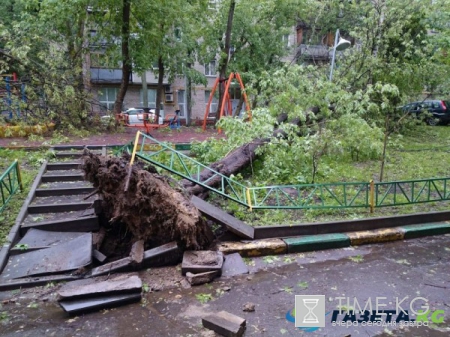 Ураган в Москве: 11 погибших, более 150 пострадавших