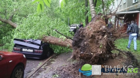 Ураган в Москве 29 мая 2017: списки погибших и пострадавших