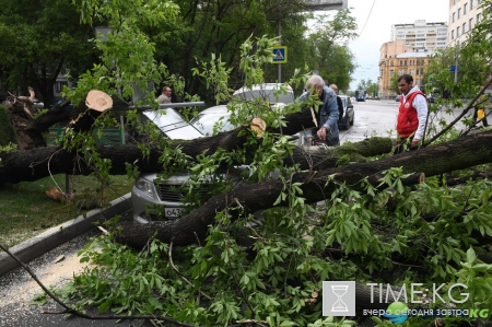 Ураган в Москве 29 мая 2017 список погибших . Свежая информация