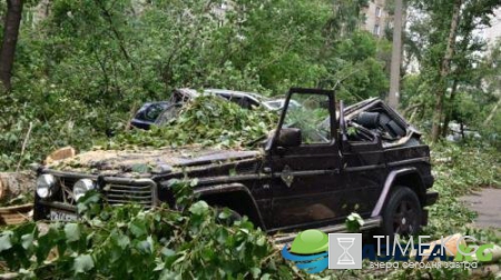 Ураган в Москве 29.05.2017: жертвами разгула стихии стали 6 человек