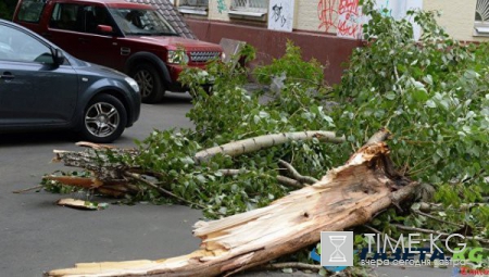 Ураган в Москве сегодня пострадавшие, разрушения, жертвы