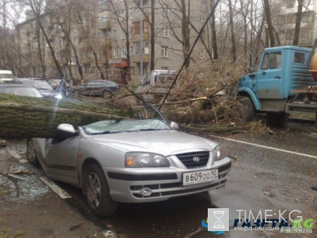 Ураган в Москве сейчас 2017: опубликован список погибших при урагане (ФОТО, ВИДЕО)