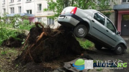 Ураган в Москве сейчас, новости: число жертв растет (фото, видео)