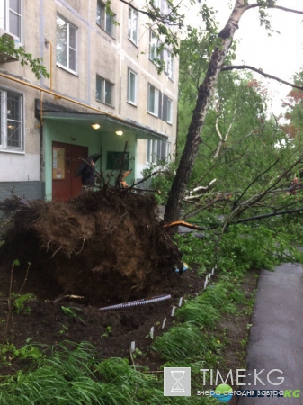 Ураган в Москве сейчас, новости: число жертв растет (фото, видео)