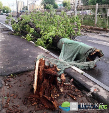 Ураган в Москве унес жизни более 10 человек