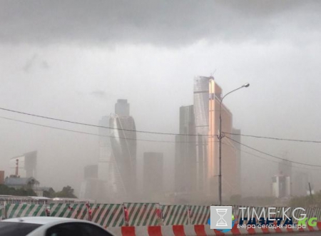 Ураган в Москве унес жизни семи людей
