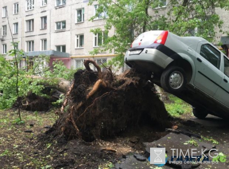 Ураган в Москве унес жизни семи людей