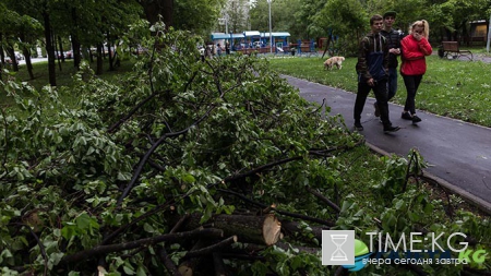 Ураган в Москве. Всё, что известно