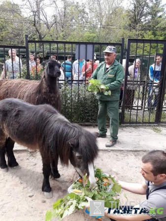 В лучшем зоопарке Европы с почетом проводили на пенсию Гнома