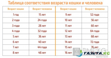 Вот сколько лет вашему питомцу в переводе на человеческий возраст