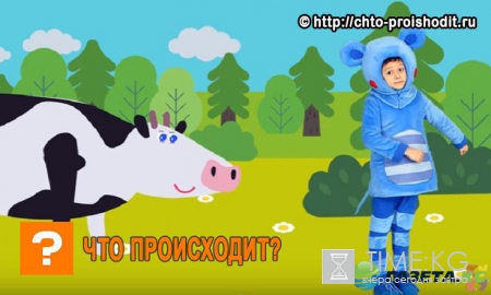 Ютуб: «Кукутики» взорвали интернет и покорили 50 миллионов детей