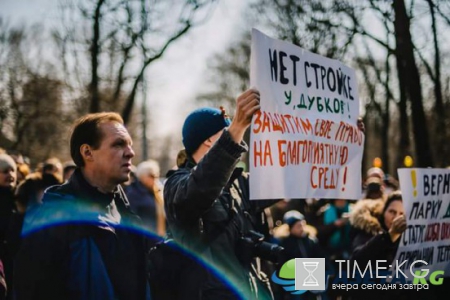 Защитнику парка «Дубки» дали три с половиной года условно