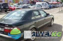 В Киеве из-за жары погибла запертая в авто собака