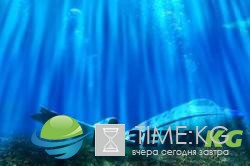 В районе Бермудского треугольника исчез самоле